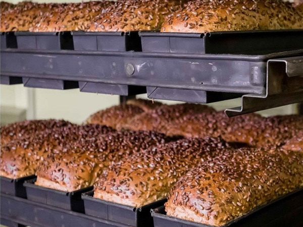 Brood